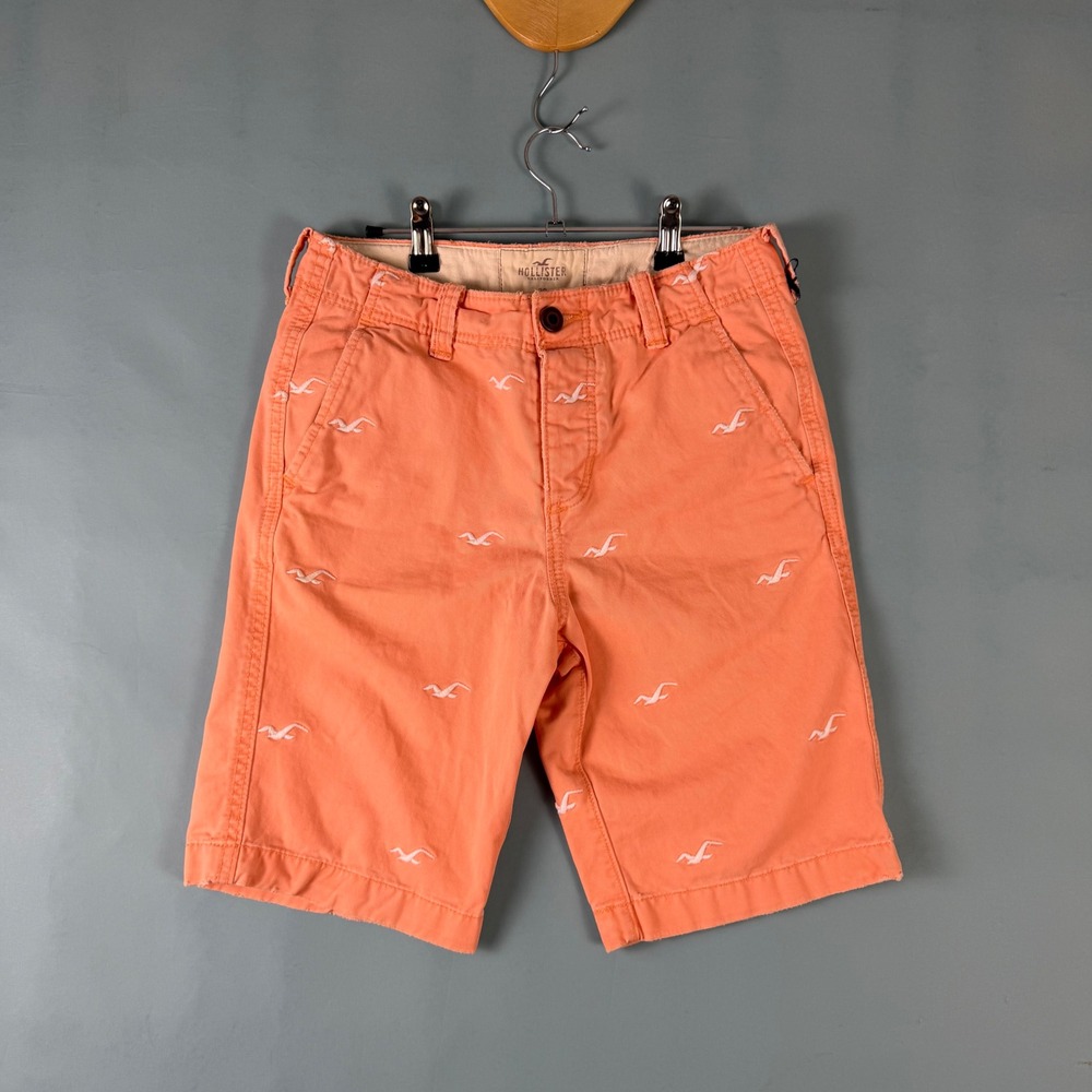 Y2K Hollister Men's 28 Salmon Seagull Embroidered Chino Shorts Button Fly